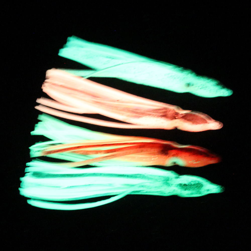 10 pcs soft light octopus squi - Fishing Lure Buzzbait บทวิจารณ์และราคา