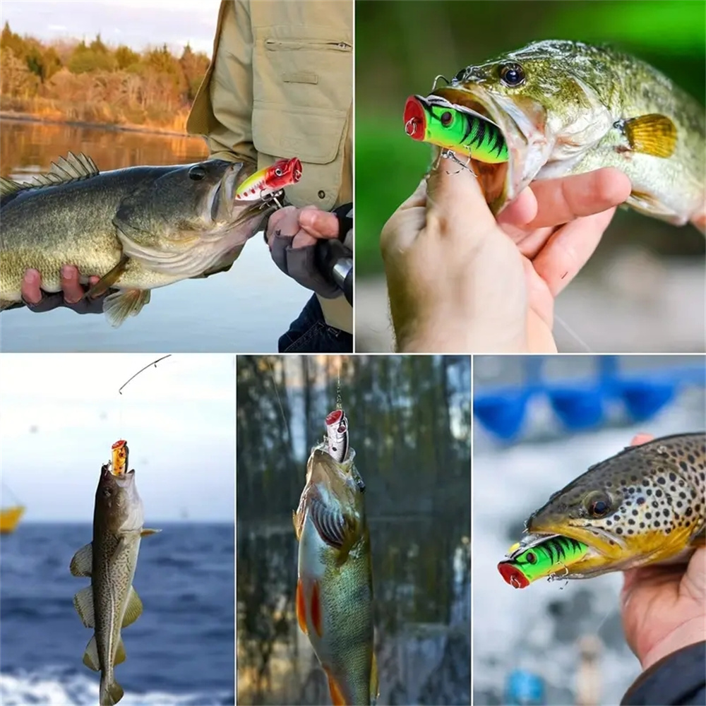 5Pcs Popper Fishing Lures 3d E - Fishing Lure Popper บทวิจารณ์และราคา